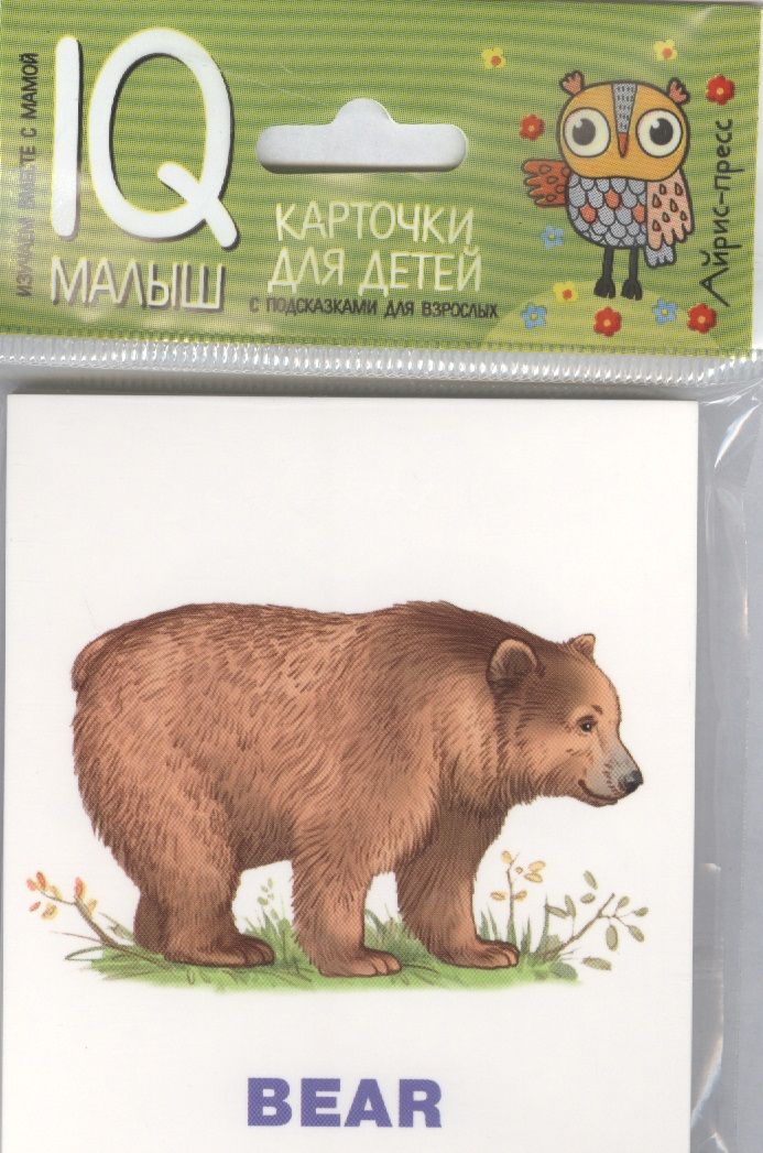 Обложка книги "Умный малыш. ENGLISH. Зоопарк"