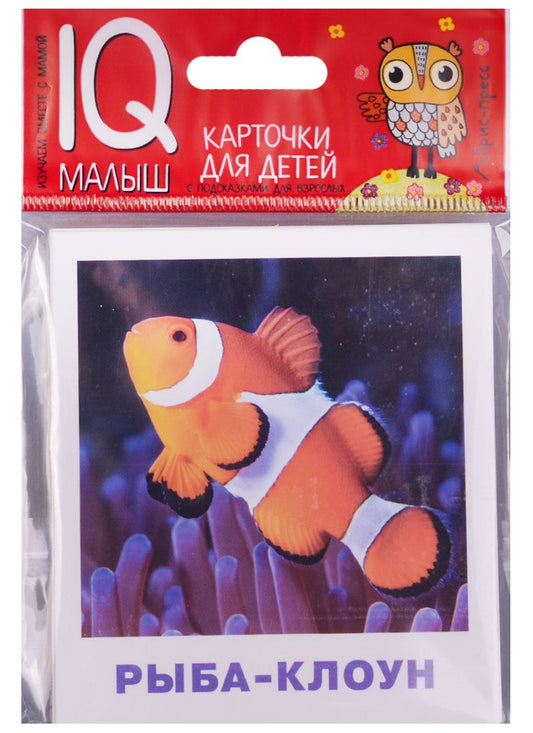Обложка книги "Умный малыш. Обитатели морей и океанов"