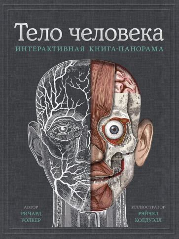 Обложка книги "Уолкер: Тело человека. Интерактивная книга-панорама"