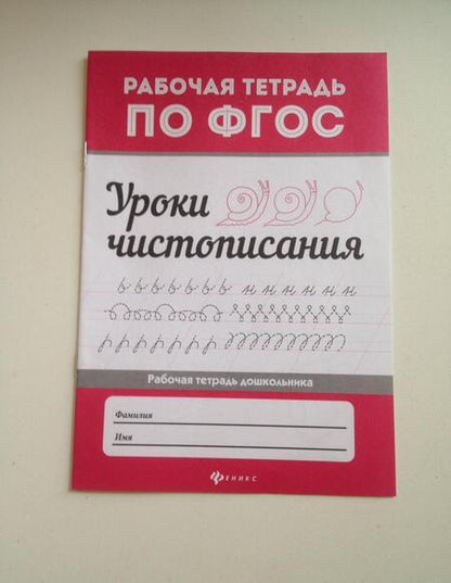 Фотография книги "Уроки чистописания дп"