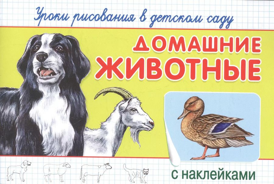 Обложка книги "Уроки рисования в детском саду. Домашние животные"