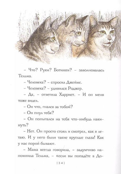 Фотография книги "Урсула Ле: Крылатые кошки"