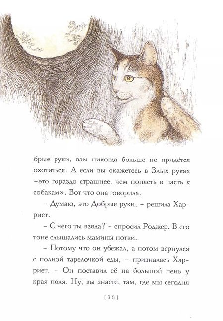 Фотография книги "Урсула Ле: Крылатые кошки"