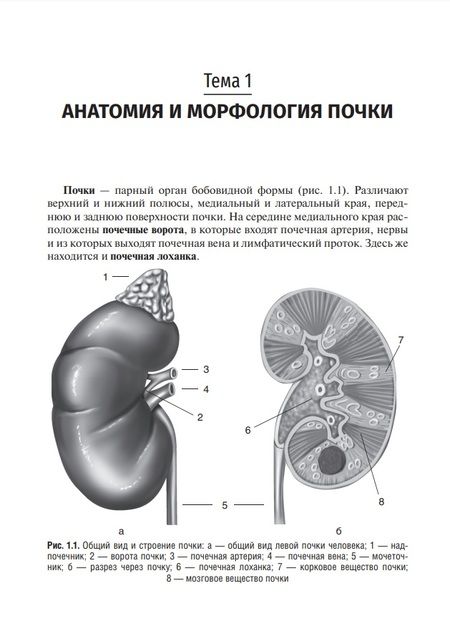 Фотография книги "Усанова, Гуранова: Клиническая нефрология. Учебное пособие для ВУЗов"