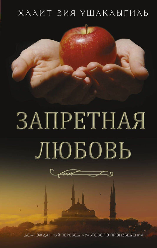 Обложка книги "Ушаклыгиль: Запретная любовь"
