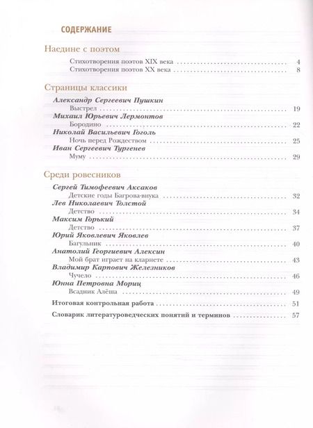 Фотография книги "Устинова, Ланин, Шамчикова: Литература. 6 класс. Рабочая тетрадь. В 2-х частях"