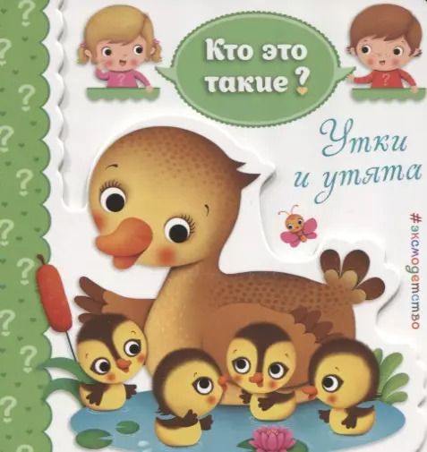 Обложка книги "Утки и утята"