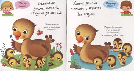 Фотография книги "Утки и утята"