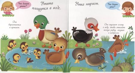 Фотография книги "Утки и утята"