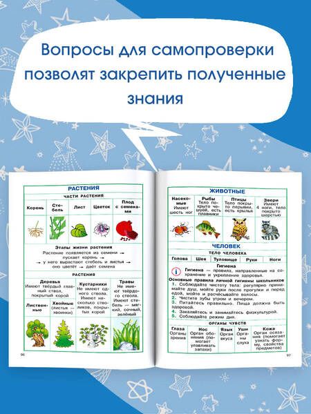 Фотография книги "Узорова, Нефёдова: Полный курс начальной школы. Русский язык, математика, окружающий мир"