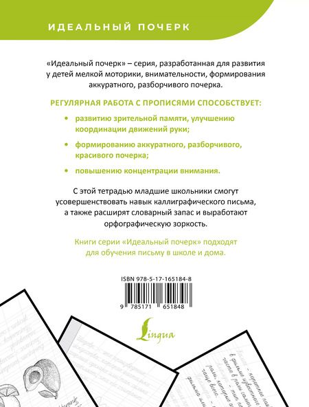 Фотография книги "В. Комарова: Русский язык. Учимся писать слова-заимствования"