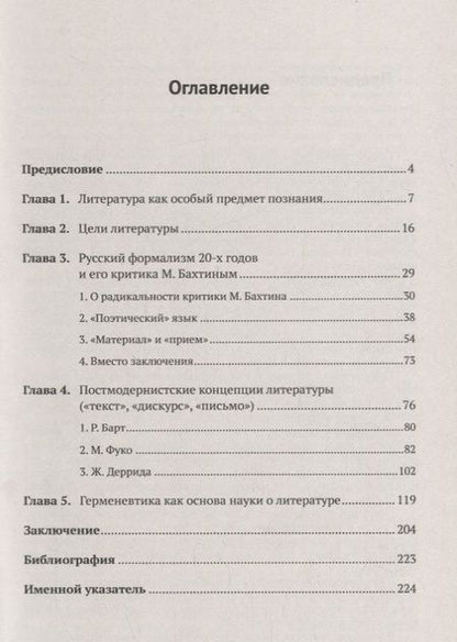 Фотография книги "В. Линков: Введение в литературоведение: История идей от Вико до Бахтина и Гадамера"