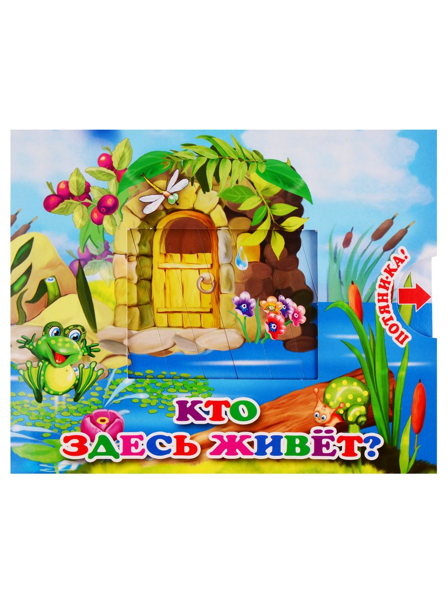 Обложка книги "В. Разин: Кто здесь живет"