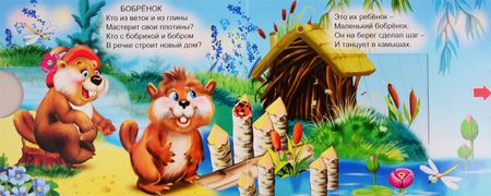 Фотография книги "В. Разин: Лесные животные"