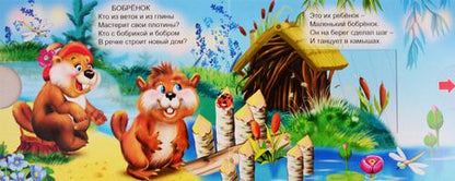 Фотография книги "В. Разин: Лесные животные"