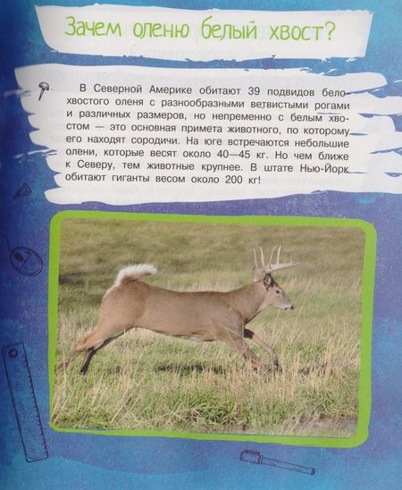 Фотография книги "В. Волкова: Почему так, а не иначе. Военное дело, растения, космос, животные."
