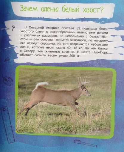 Фотография книги "В. Волкова: Почему так, а не иначе. Военное дело, растения, космос, животные."