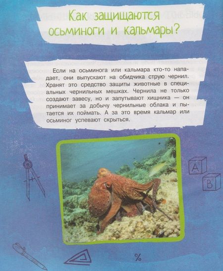 Фотография книги "В. Волкова: Почему так, а не иначе. Военное дело, растения, космос, животные."