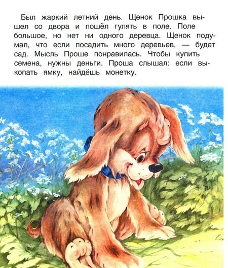 Фотография книги "В. Жиромская: Прошкин сад. Книжка с крупными буквами"