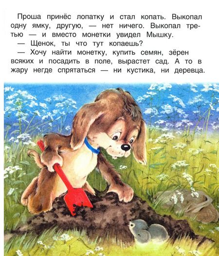 Фотография книги "В. Жиромская: Прошкин сад. Книжка с крупными буквами"