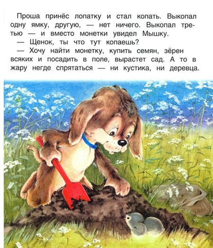 Фотография книги "В. Жиромская: Прошкин сад. Книжка с крупными буквами"