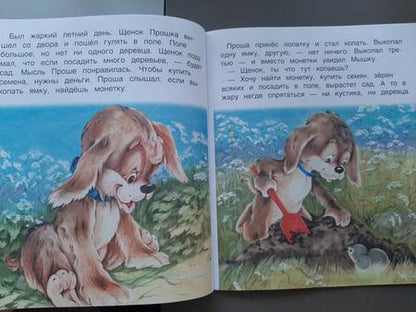 Фотография книги "В. Жиромская: Прошкин сад. Книжка с крупными буквами"