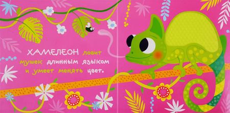 Фотография книги "В джунглях"