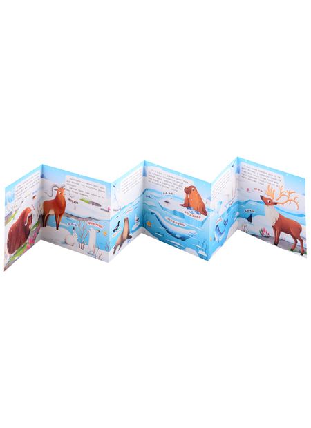 Фотография книги "В холодных краях. Книжка-гармошка"