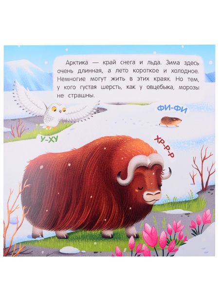 Фотография книги "В холодных краях. Книжка-гармошка"