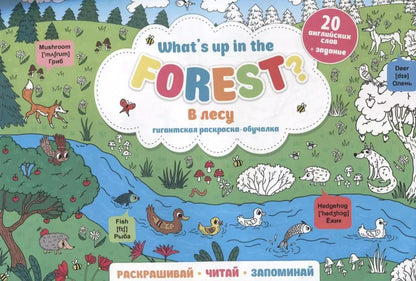 Обложка книги "What`s up in the forest / В лесу. Гигантская раскраска-обучалка. 20 английских слов + задание. Раскрашивай. Читай. Запоминай"