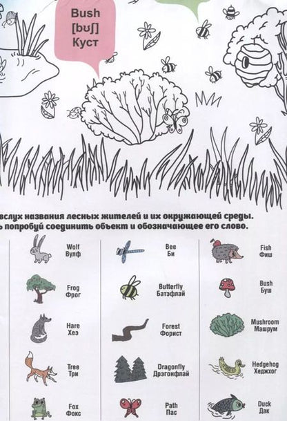 Фотография книги "What`s up in the forest / В лесу. Гигантская раскраска-обучалка. 20 английских слов + задание. Раскрашивай. Читай. Запоминай"