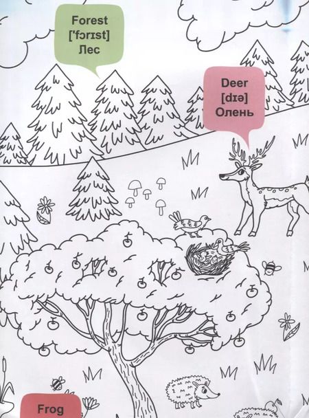 Фотография книги "What`s up in the forest / В лесу. Гигантская раскраска-обучалка. 20 английских слов + задание. Раскрашивай. Читай. Запоминай"