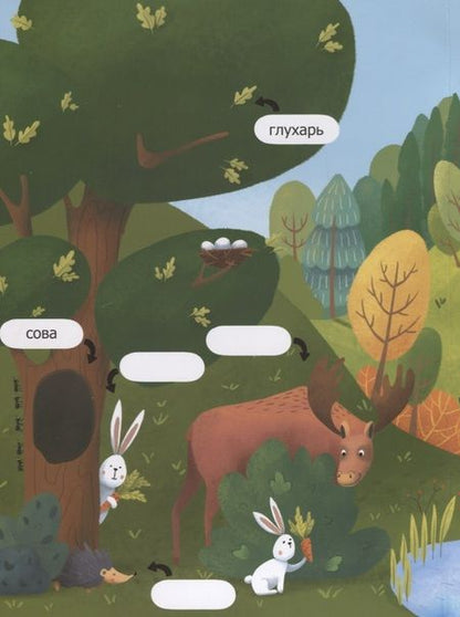 Фотография книги "В лесу. Обучающая книжка с наклейками"
