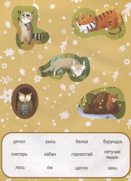Фотография книги "В лесу. Обучающая книжка с наклейками"