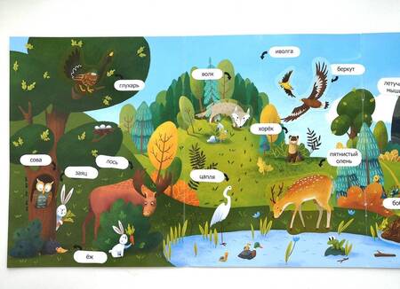 Фотография книги "В лесу. Обучающая книжка с наклейками"