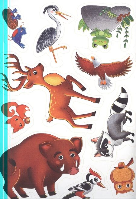 Фотография книги "В лесу. Первые картинки с наклейками"