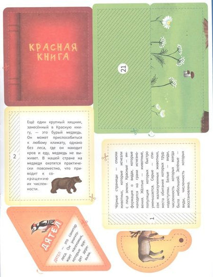 Фотография книги "В лесу"