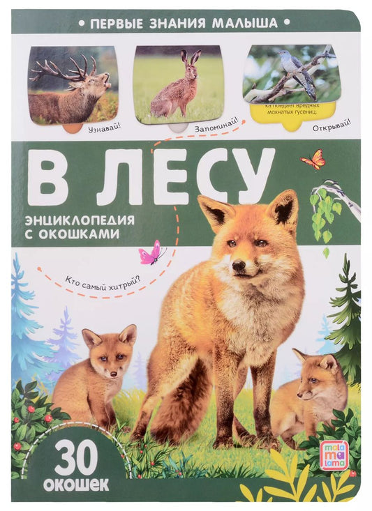 Обложка книги "В лесу: книжка с окошками"