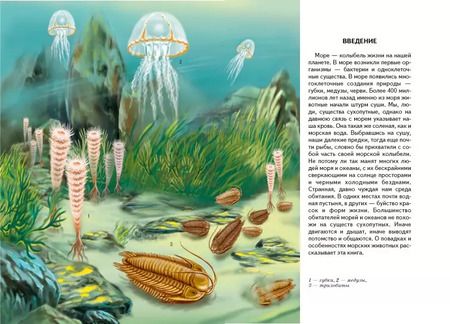Фотография книги "В морях и океанах."