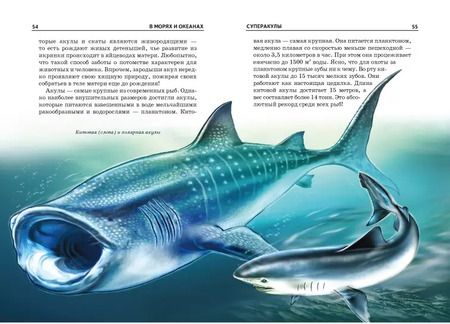 Фотография книги "В морях и океанах."