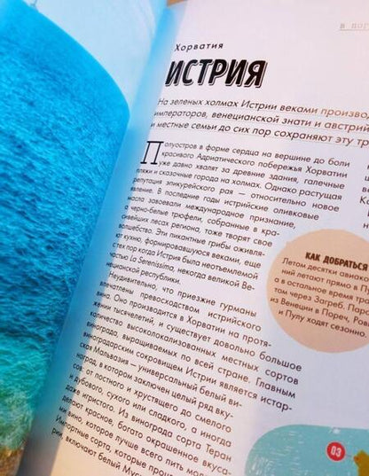 Фотография книги "В погоне за вином. Винные туры по старому свету"