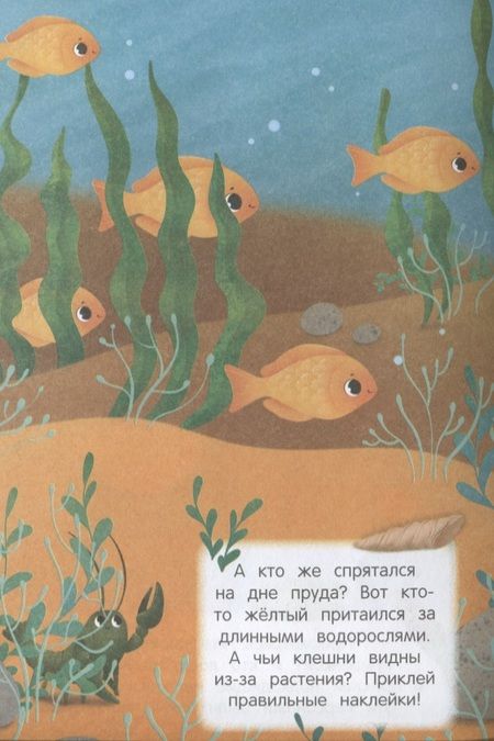 Фотография книги "В воде и под водой. Книжка с наклейками. 2+"