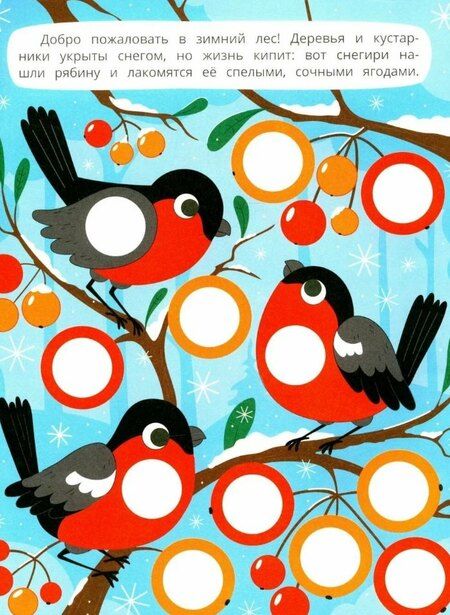 Фотография книги "В зимнем лесу: книжка с наклейками. 96 наклеек"