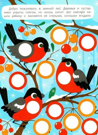 Фотография книги "В зимнем лесу: книжка с наклейками. 96 наклеек"