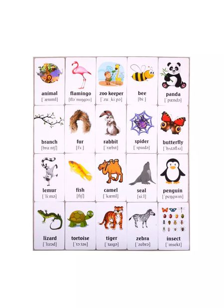 Фотография книги "Учим английские слова. Развивающие карточки "At the Zoo / В зоопарке""