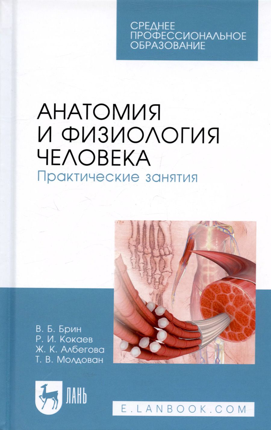 Обложка книги "Вадим Брин: Анатомия и физиология человека. Практические занятия. Учебное пособие"