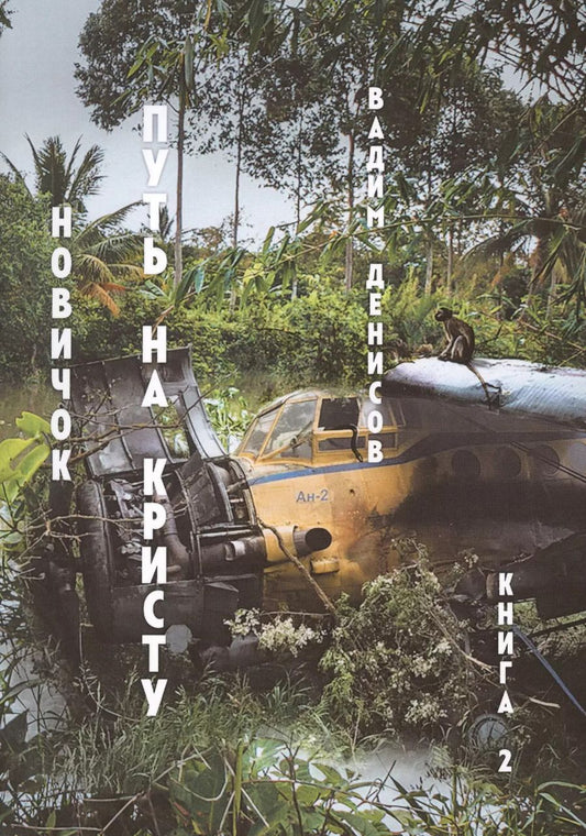 Обложка книги "Вадим Денисов: Путь на Кристу. Новичок. Книга 2"
