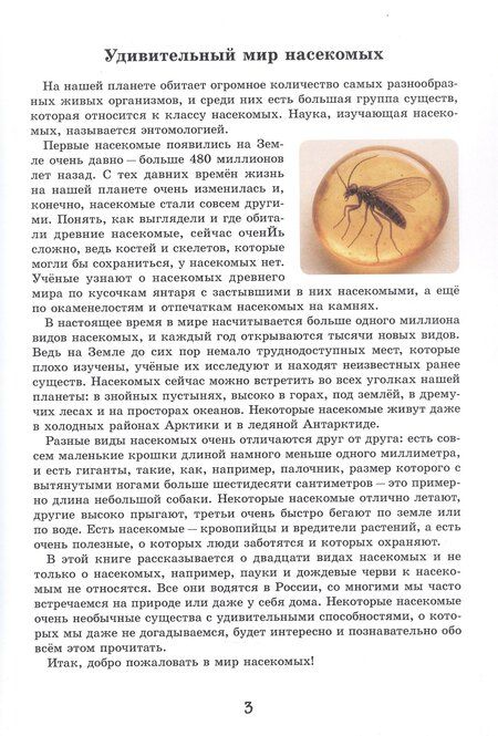Фотография книги "Вадим Жижанов: Эти милые букашки"