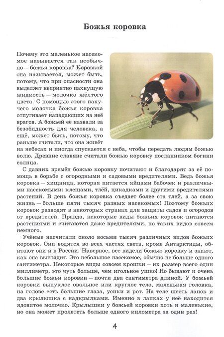 Фотография книги "Вадим Жижанов: Эти милые букашки"