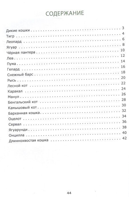 Фотография книги "Вадим Жижанов: Знакомьтесь: дикие кошки"
